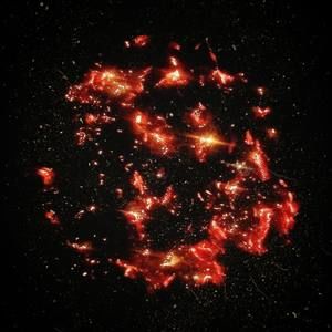 Meet your Posher, Gary